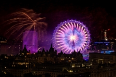 2015 (1)