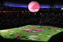 Shakhtar (6)